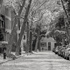 Christoph Radke, New York City, Brooklyn Heights, 2022
